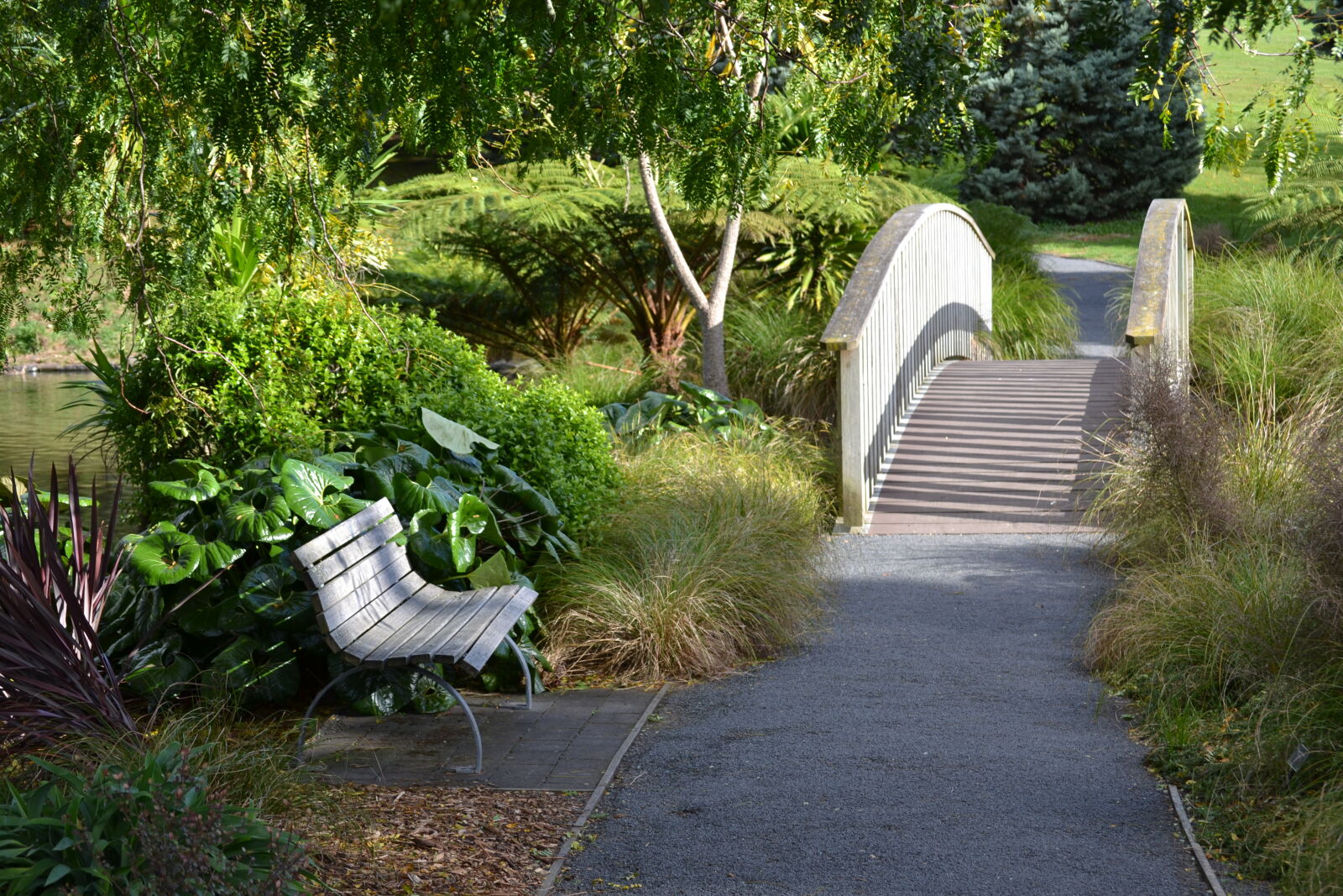 Nikon D3100 sample photo. Foot, bridge, park, bench photography