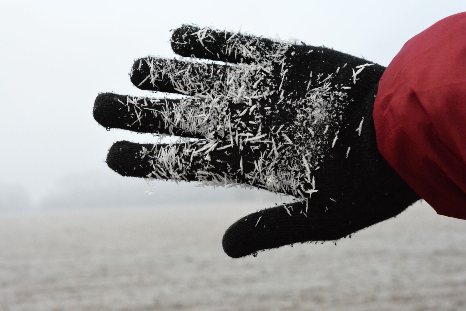 Nikon D5200 sample photo. Winter, hand, frost photography