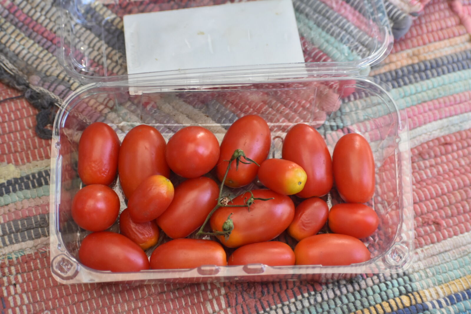 Nikon D5600 sample photo