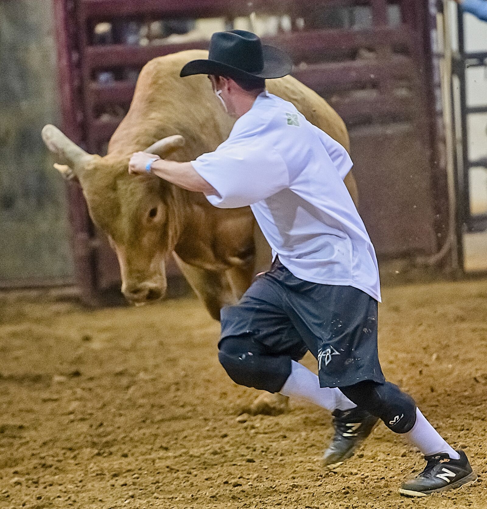 Nikon D850 sample photo. Bull, rodeo, cowboy photography