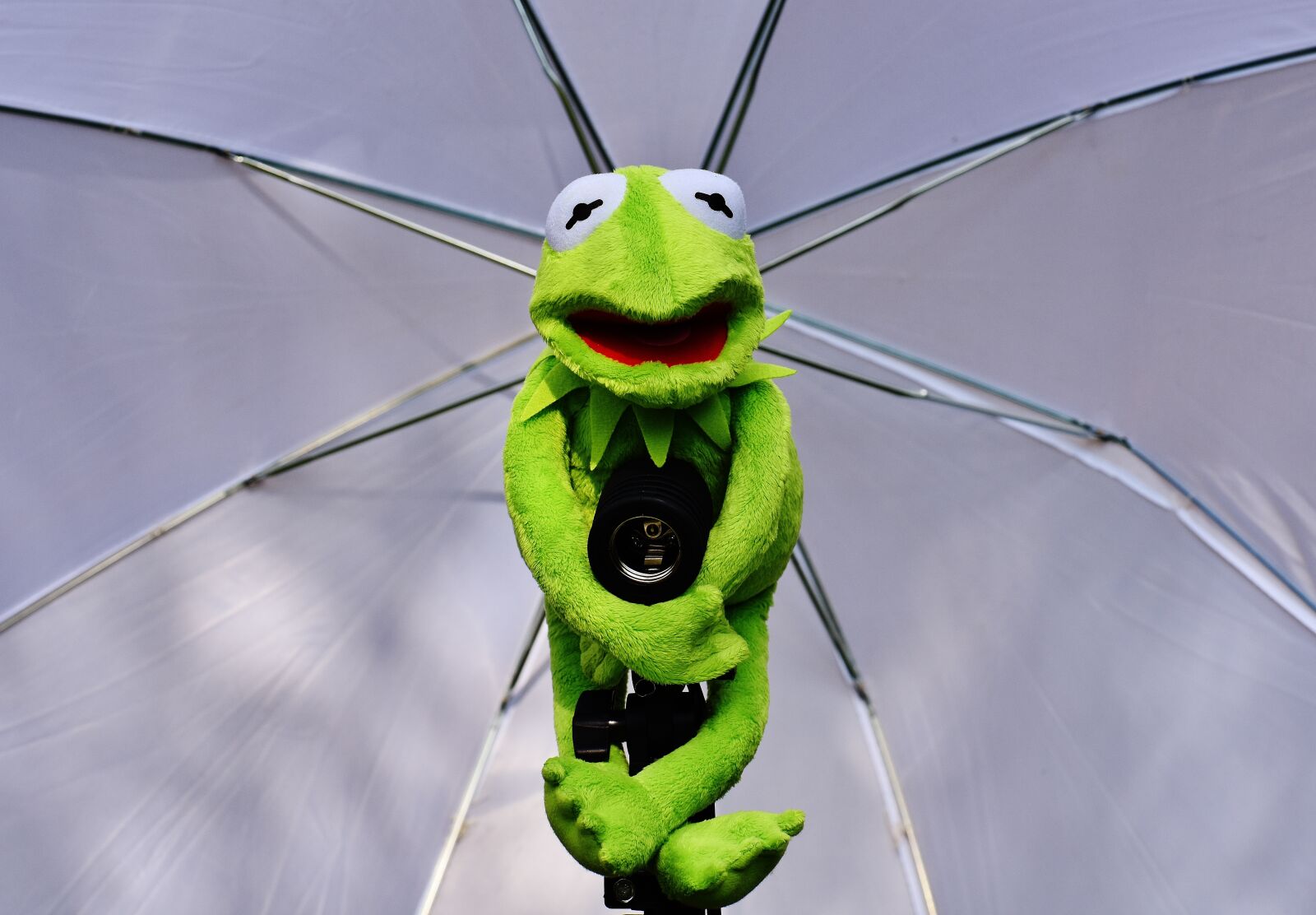 Nikon D7200 sample photo. Kermit, photo screen, frog photography