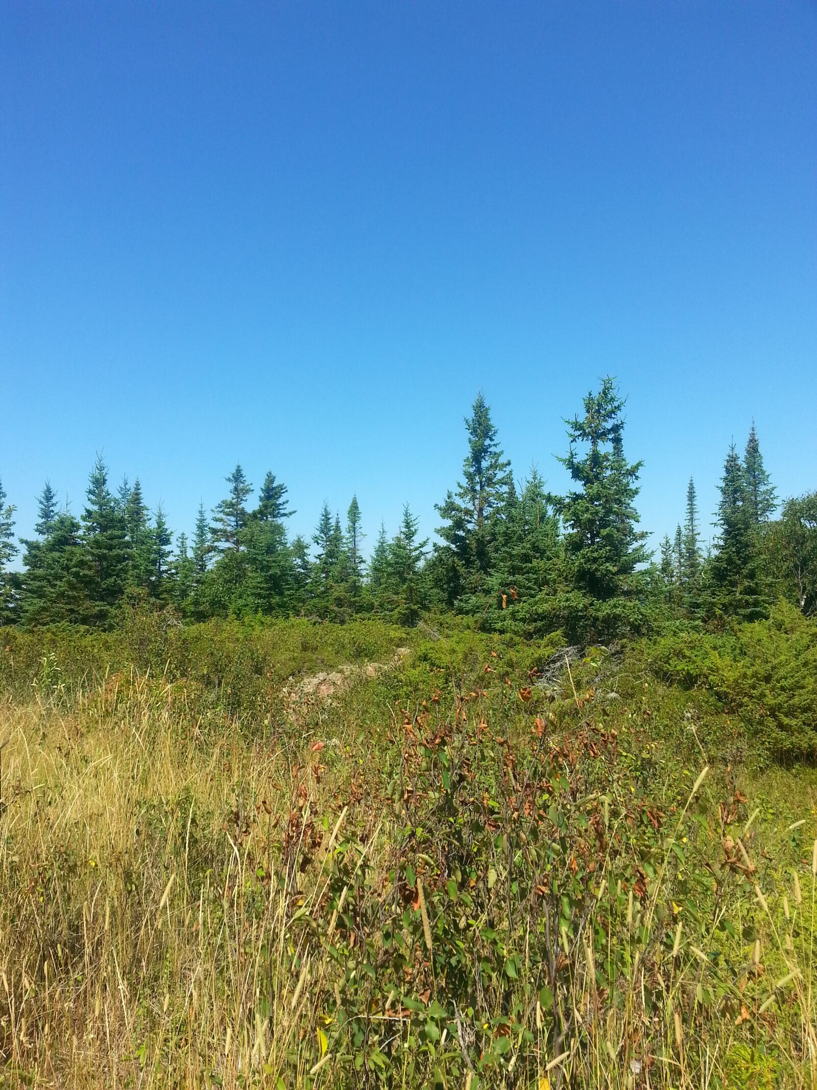 Samsung Galaxy S3 sample photo. Up mi, meadow, nature photography