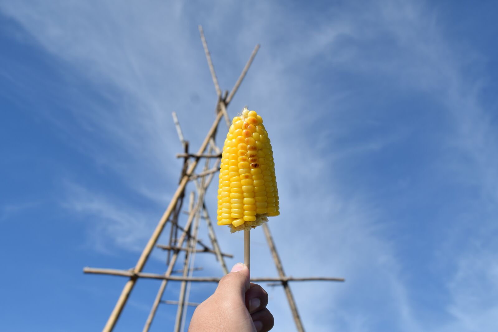 Nikon D3300 sample photo. Corn, food, vegetable photography