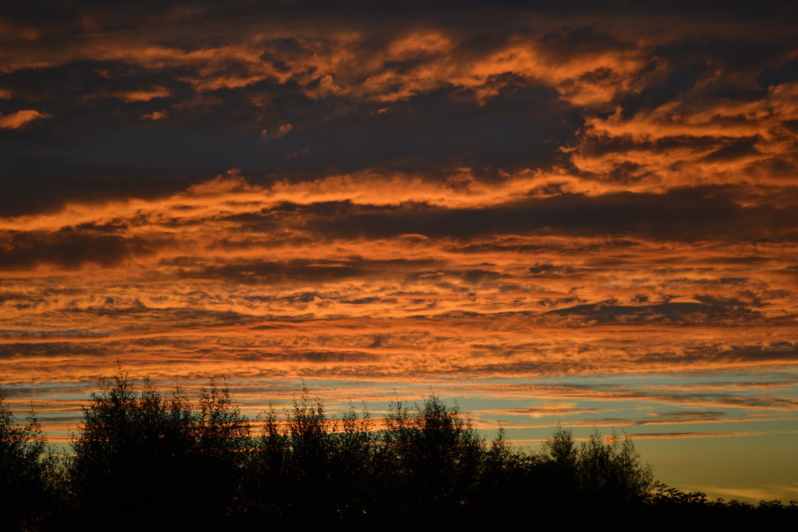 Nikon D3100 sample photo. Clouds, air, nature photography