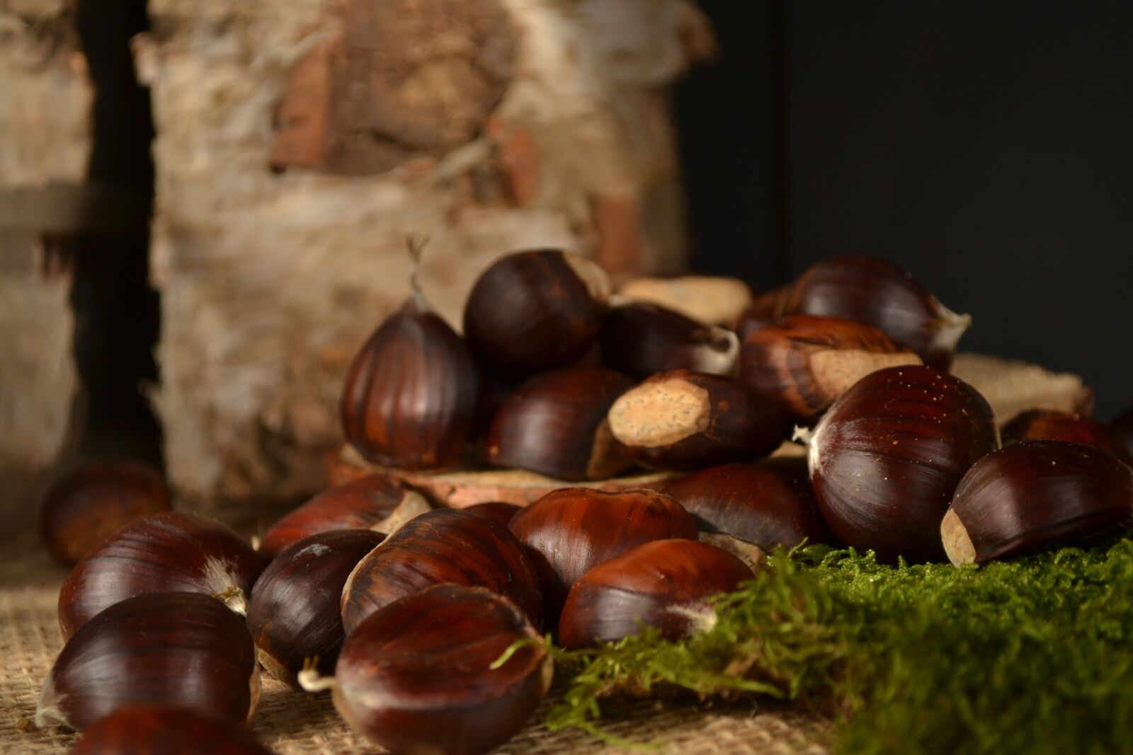 Nikon D3100 sample photo. Chestnuts, autumn, brown photography