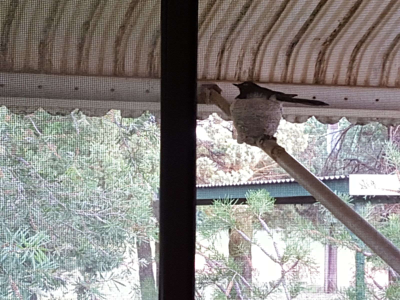 Samsung Galaxy S6 sample photo. Birdnest, verandah, bush photography
