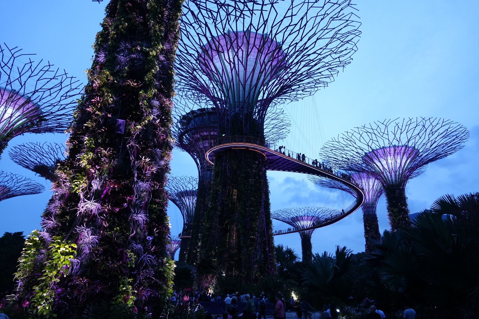 Sony Cyber-shot DSC-RX10 III sample photo. Singapore, supertree grove, nature photography