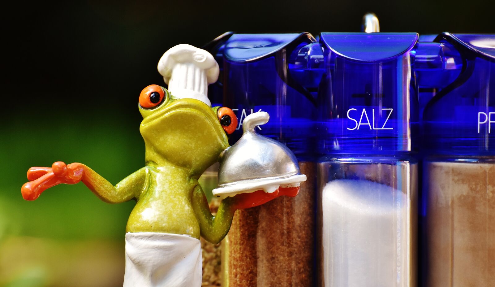 Nikon D7200 sample photo. Frog, cooking, spices photography