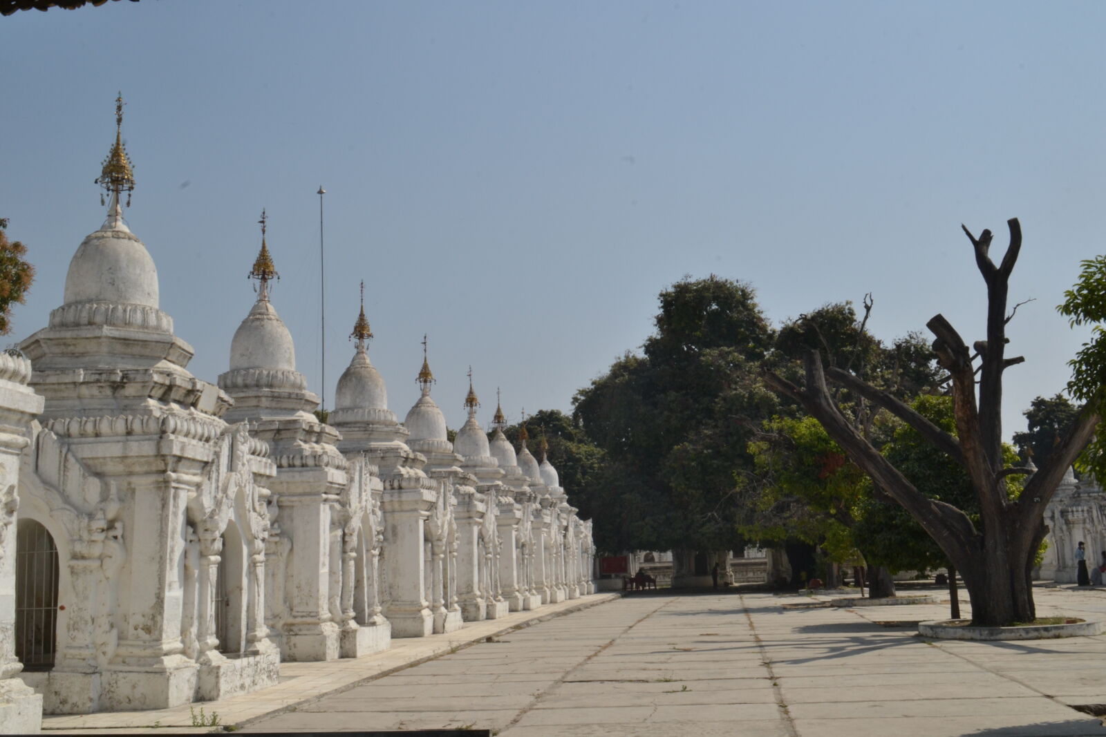 Nikon D3100 sample photo