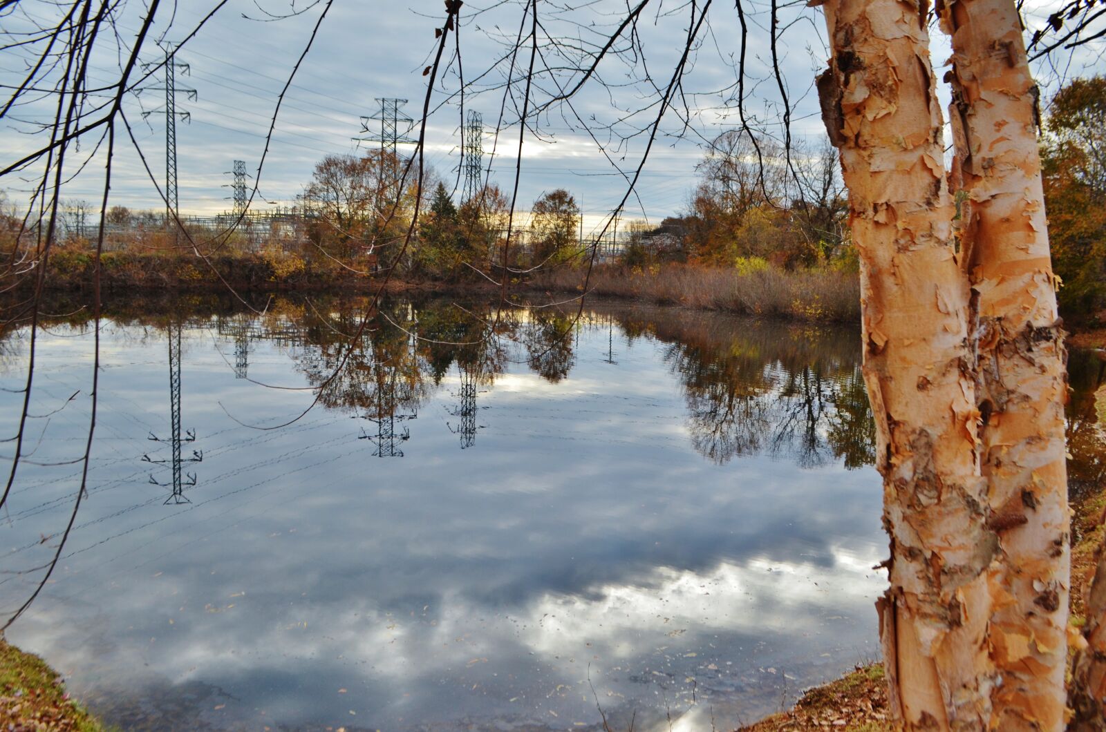 Nikon D5100 sample photo. Urban, city, greenville photography