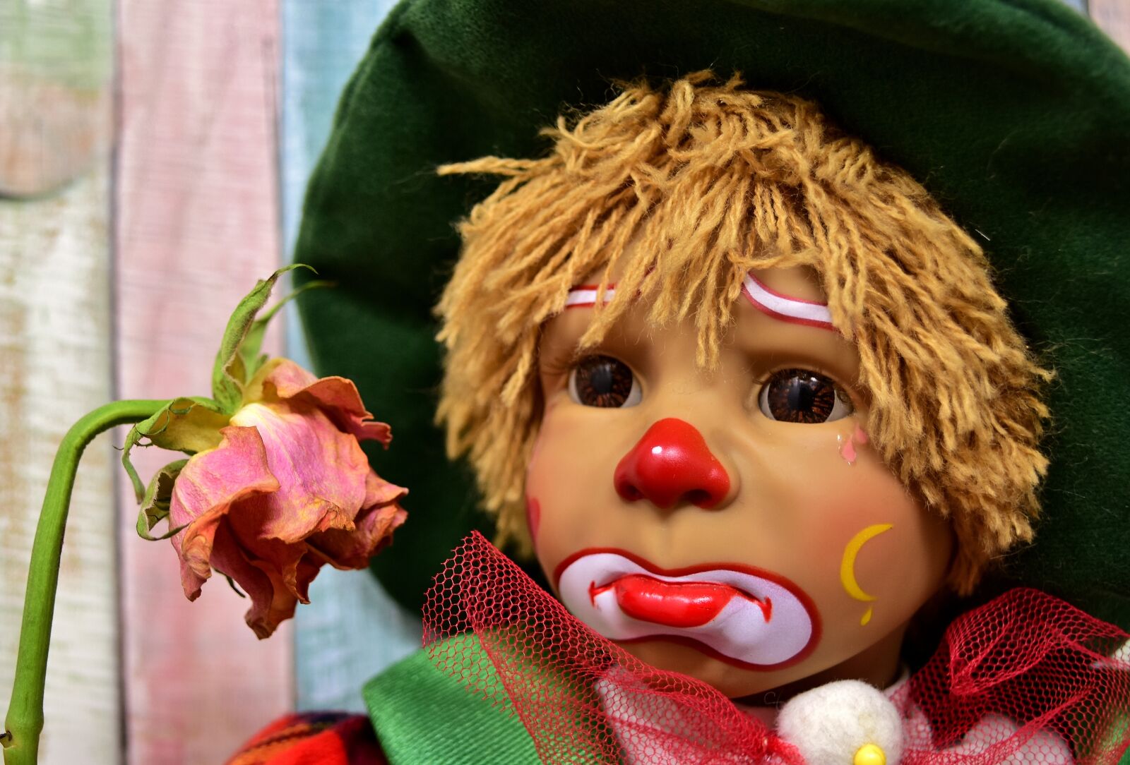 Nikon D7200 sample photo. Clown, sad, rose photography