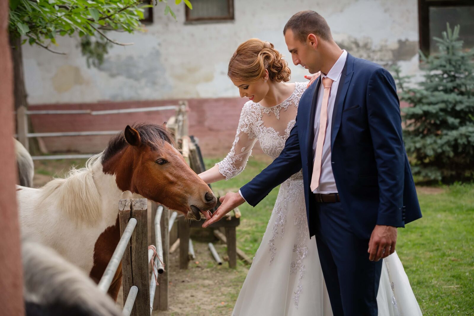 Canon EF 70-200mm F2.8L IS II USM sample photo. Pony, bride, horses, groom photography