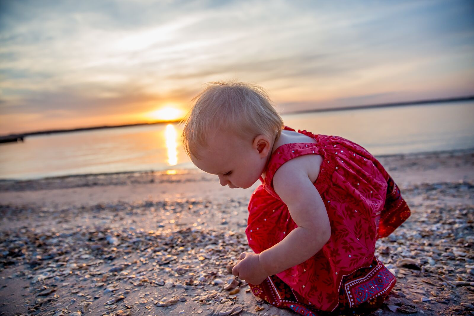 Canon EF 24-70mm F2.8L II USM sample photo. Shells, beach, toddler photography