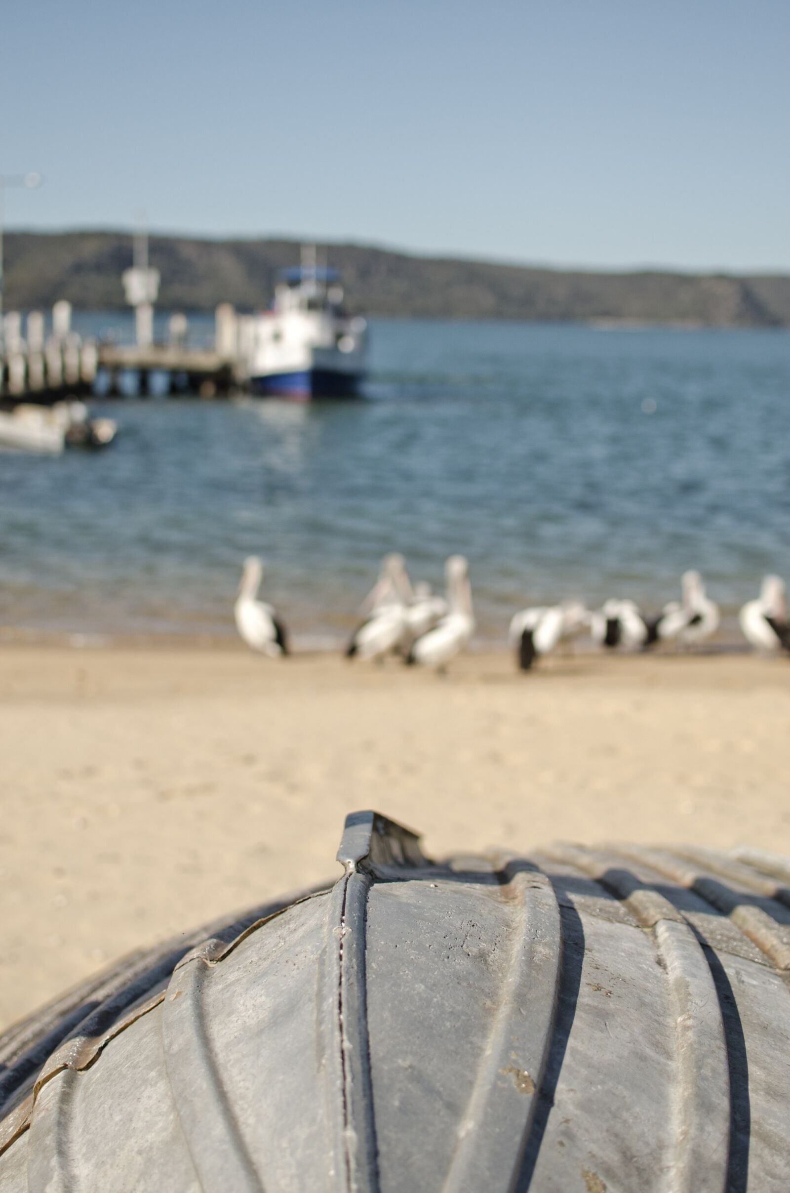 Nikon D7000 sample photo. Boat, pelican, sand photography