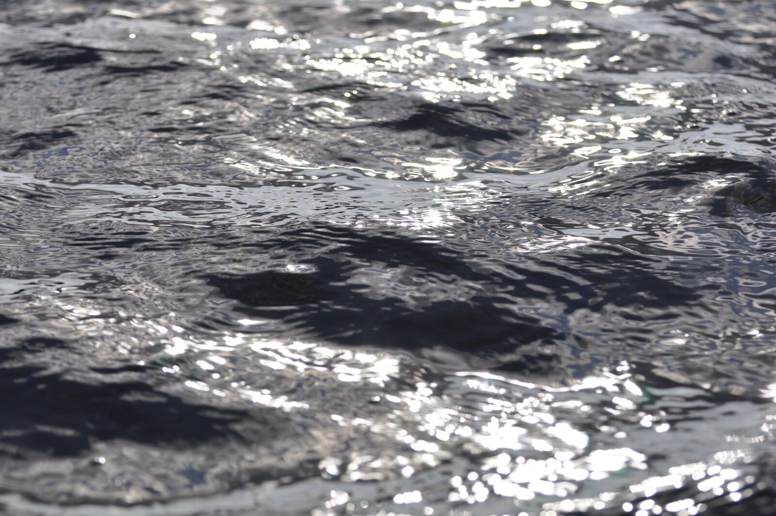 Nikon D90 sample photo. Water, surface, reflections photography