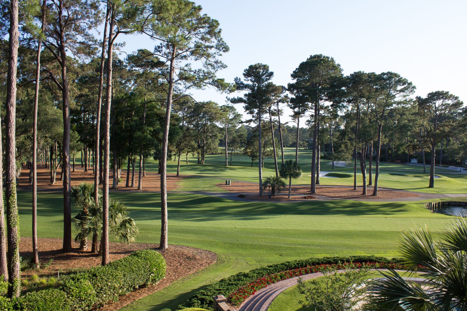 Canon EOS 600D (Rebel EOS T3i / EOS Kiss X5) sample photo. Golf course, south carolina photography