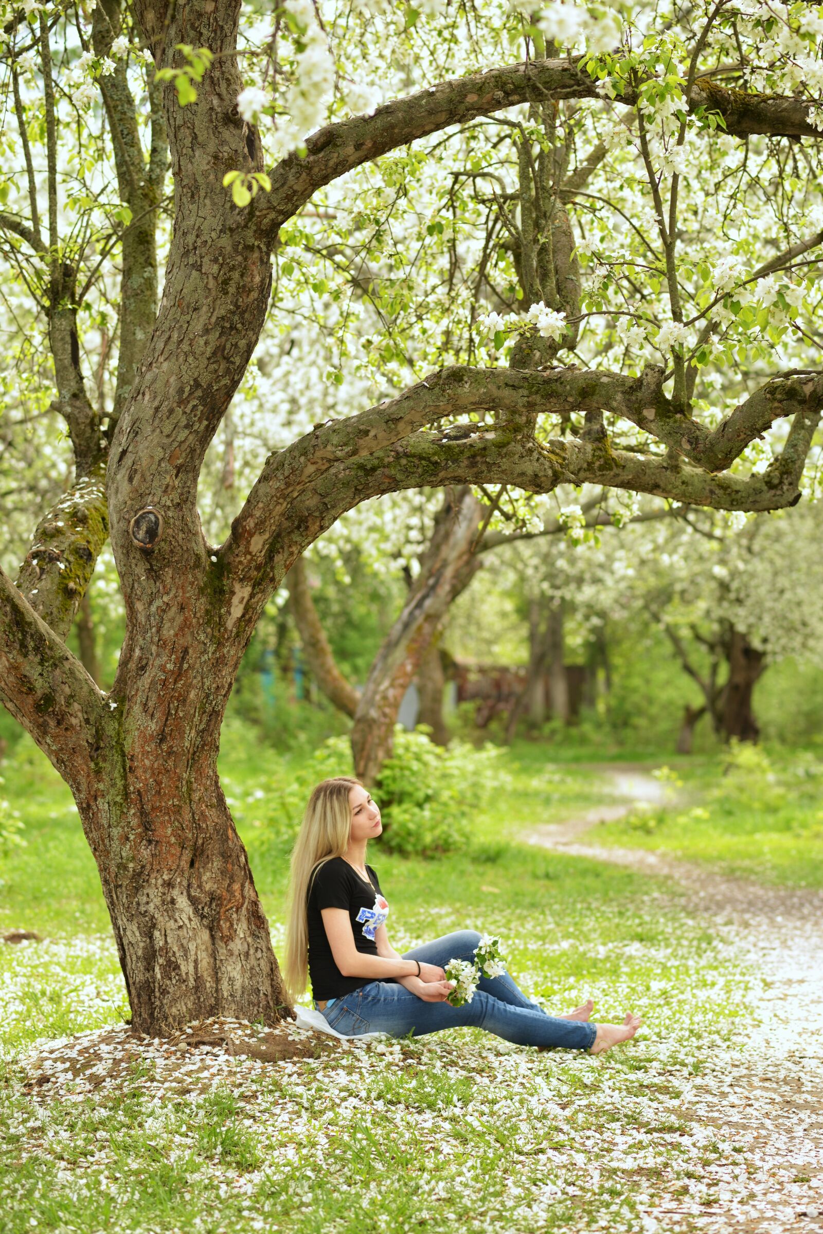 Nikon D800 sample photo. Woman, tree, flowers photography