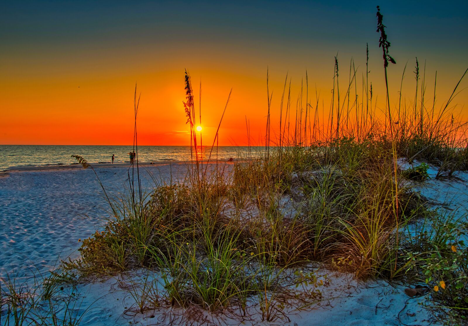Nikon D850 sample photo. Beach, sunset, sand photography