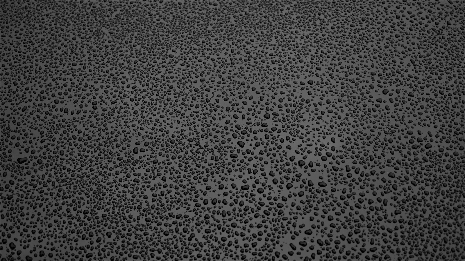 Sony E 30mm F3.5 Macro sample photo. Background, quarantine, raindrop photography