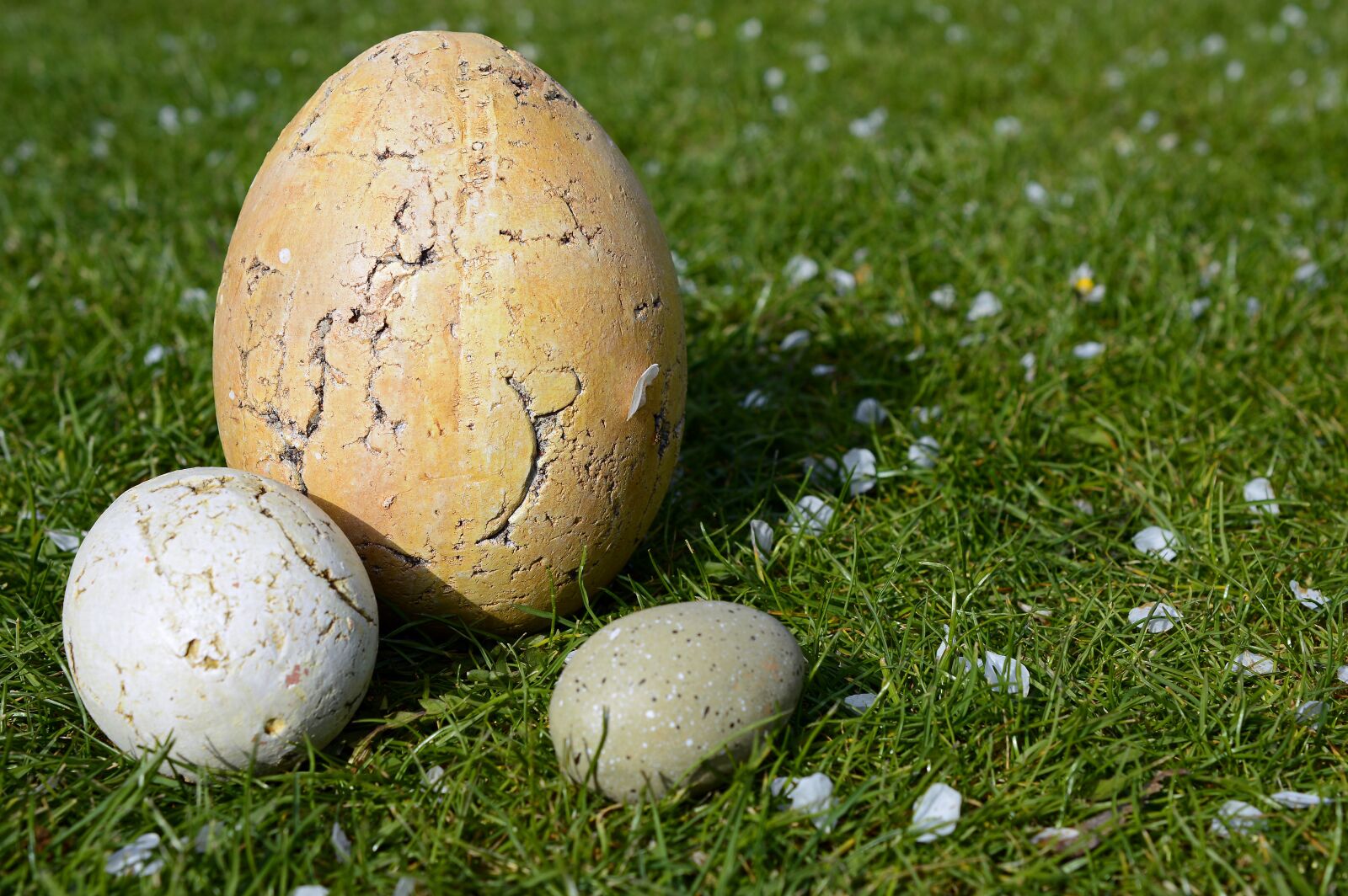 Nikon D3200 sample photo. Easter pictures, easter eggs photography