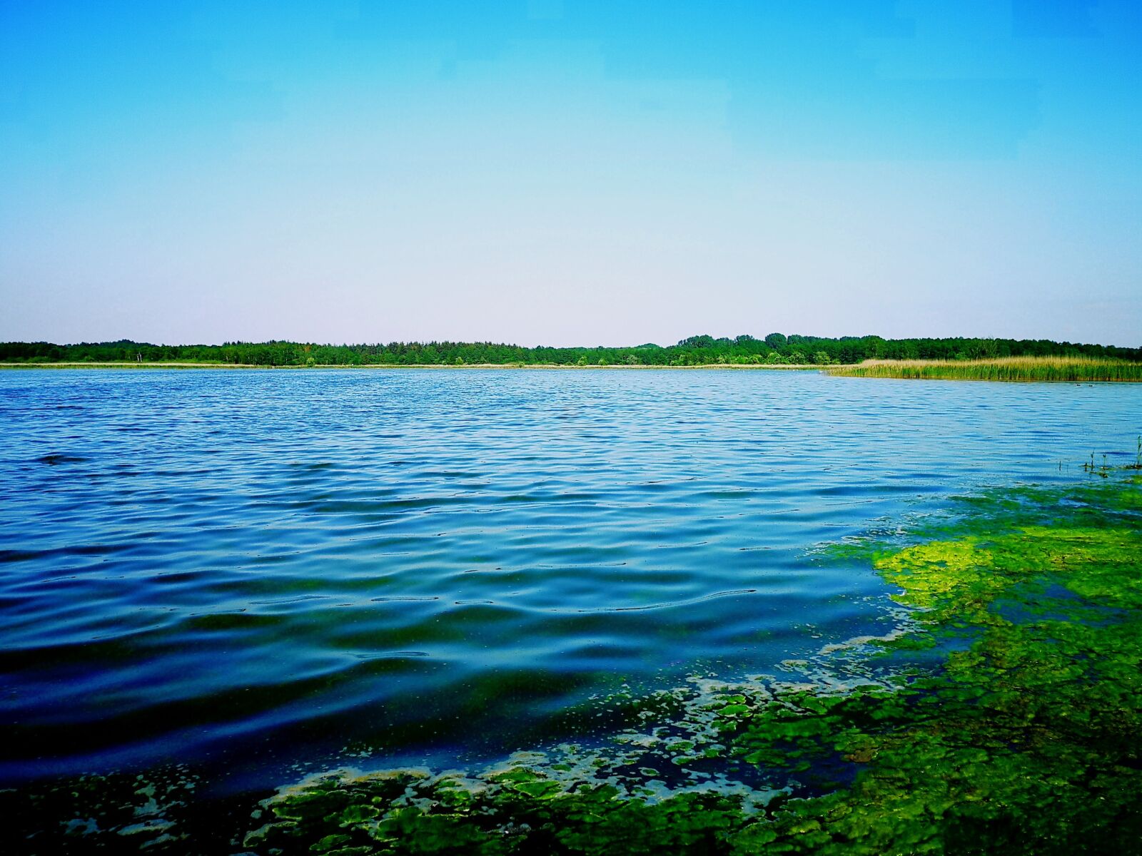 HUAWEI CLT-L29 sample photo. Lake, water, blue photography