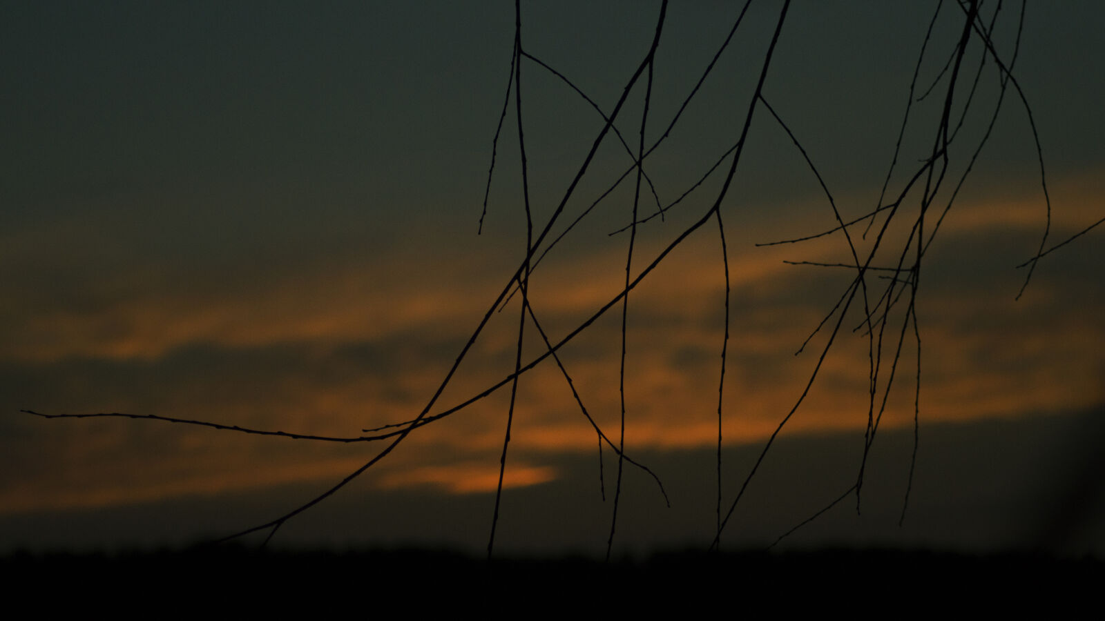 Nikon D3200 sample photo