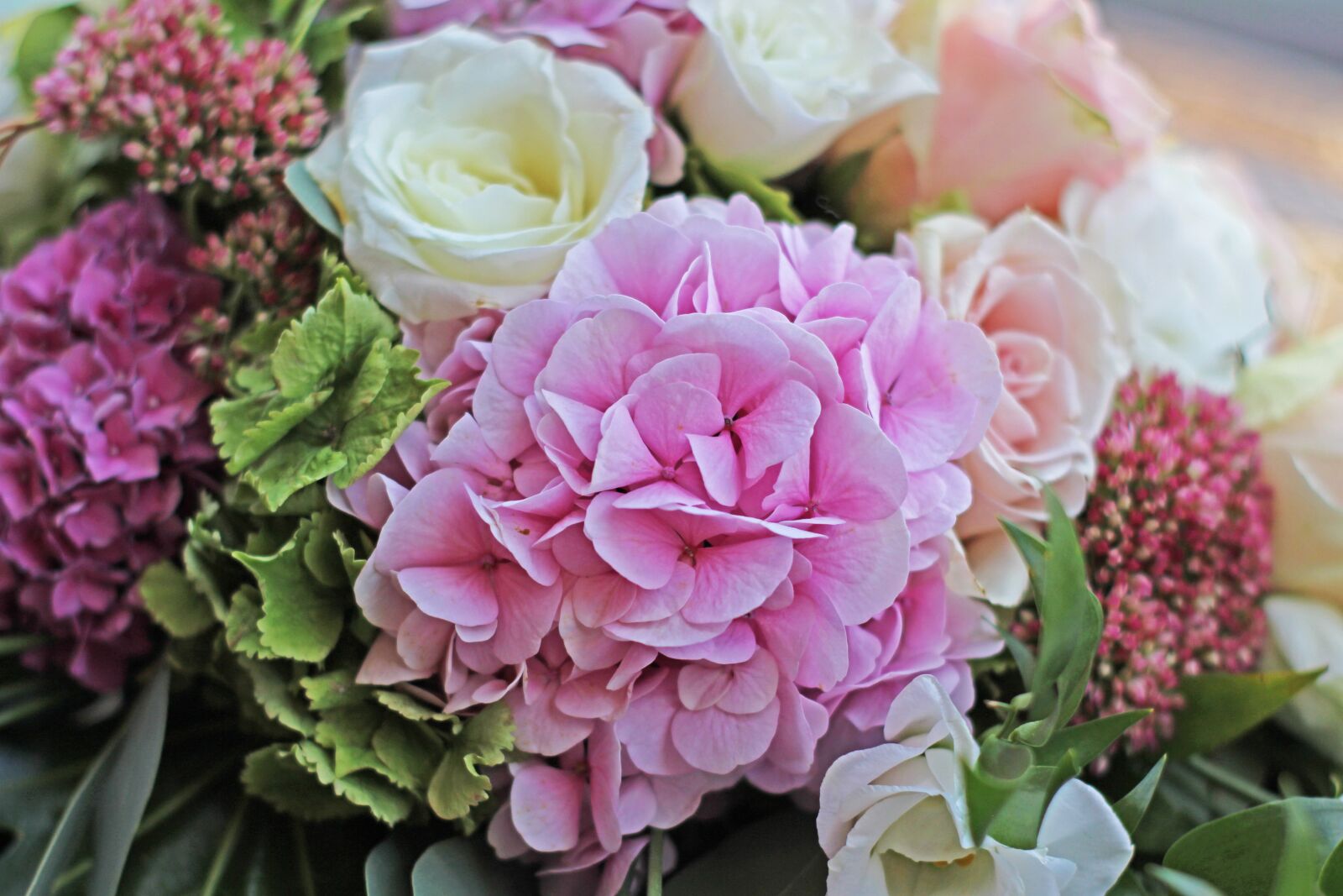 Canon EOS 700D (EOS Rebel T5i / EOS Kiss X7i) sample photo. Hydrangea, bouquet, pink hydrangea photography