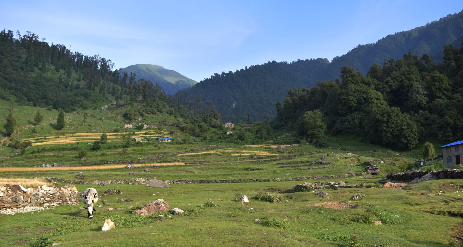 Nikon D3300 sample photo. Green, nepal, nature photography
