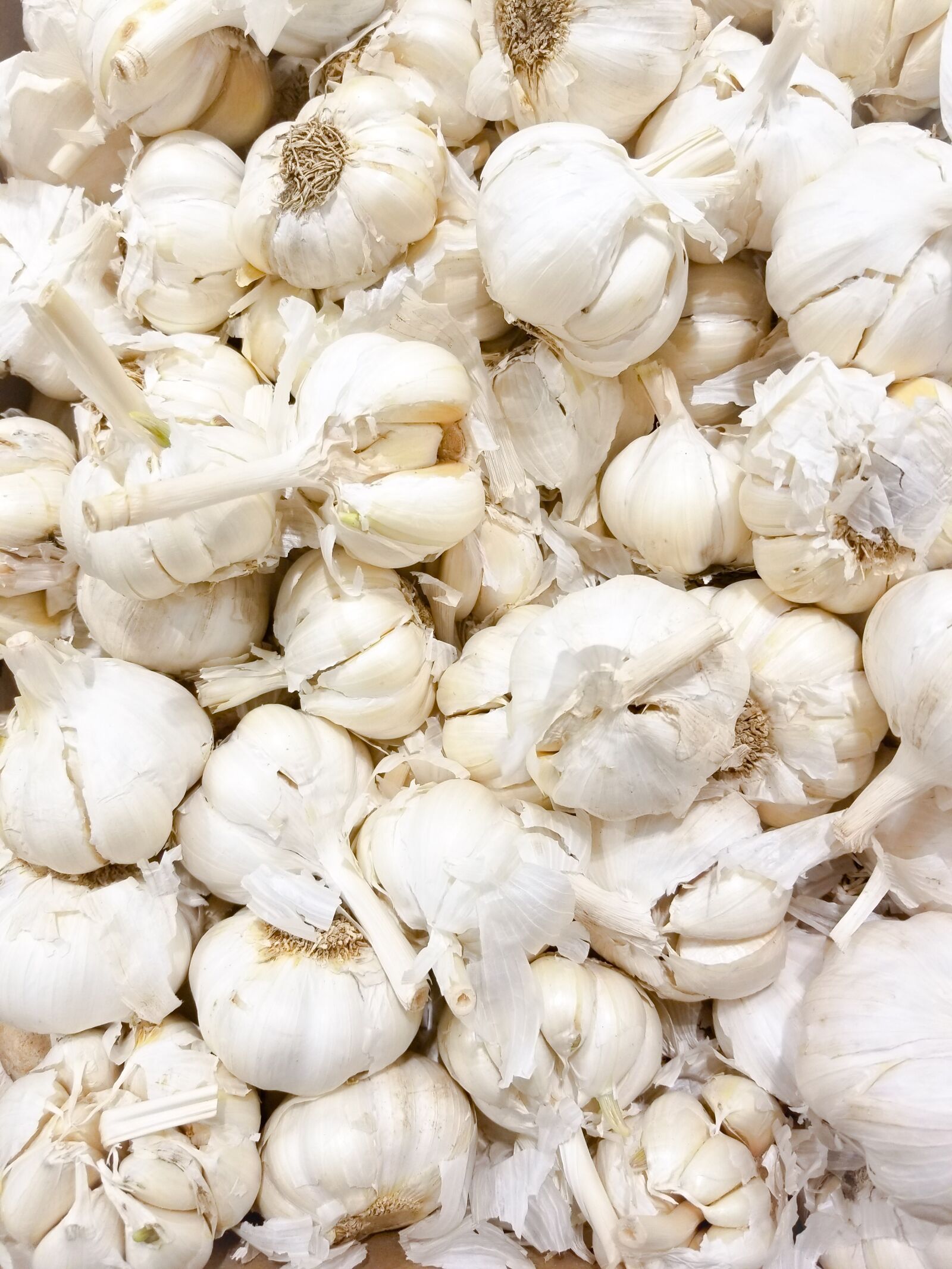 Samsung Galaxy S8+ sample photo. Garlic, ingredient, food photography