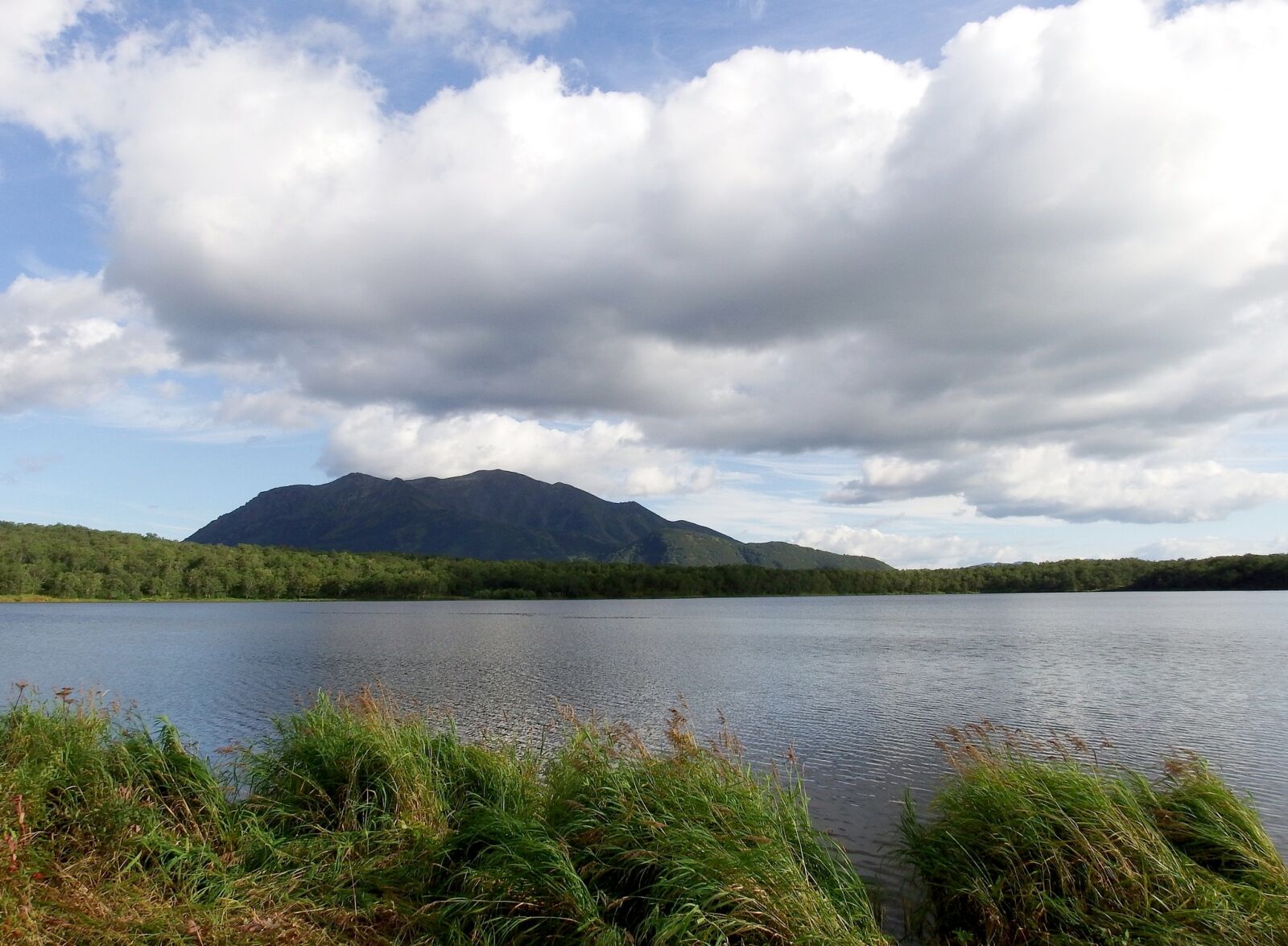 Fujifilm FinePix S1 sample photo. Lake, mountains, forest photography