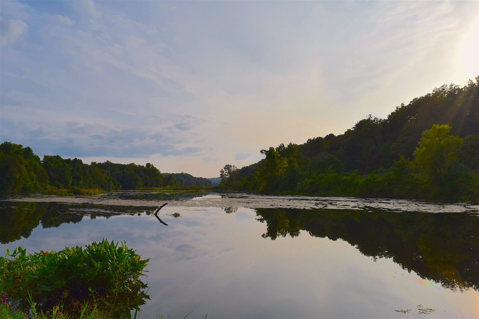 Nikon D3300 sample photo. Lake, landscape, trees photography