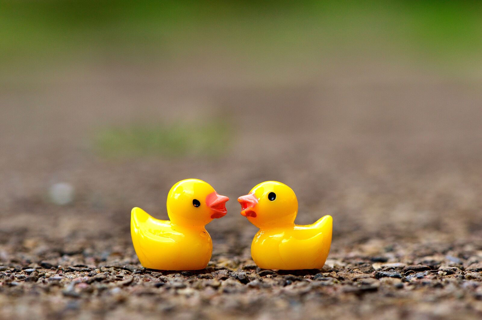 Nikon D3200 sample photo. Ducky, figures, cute photography