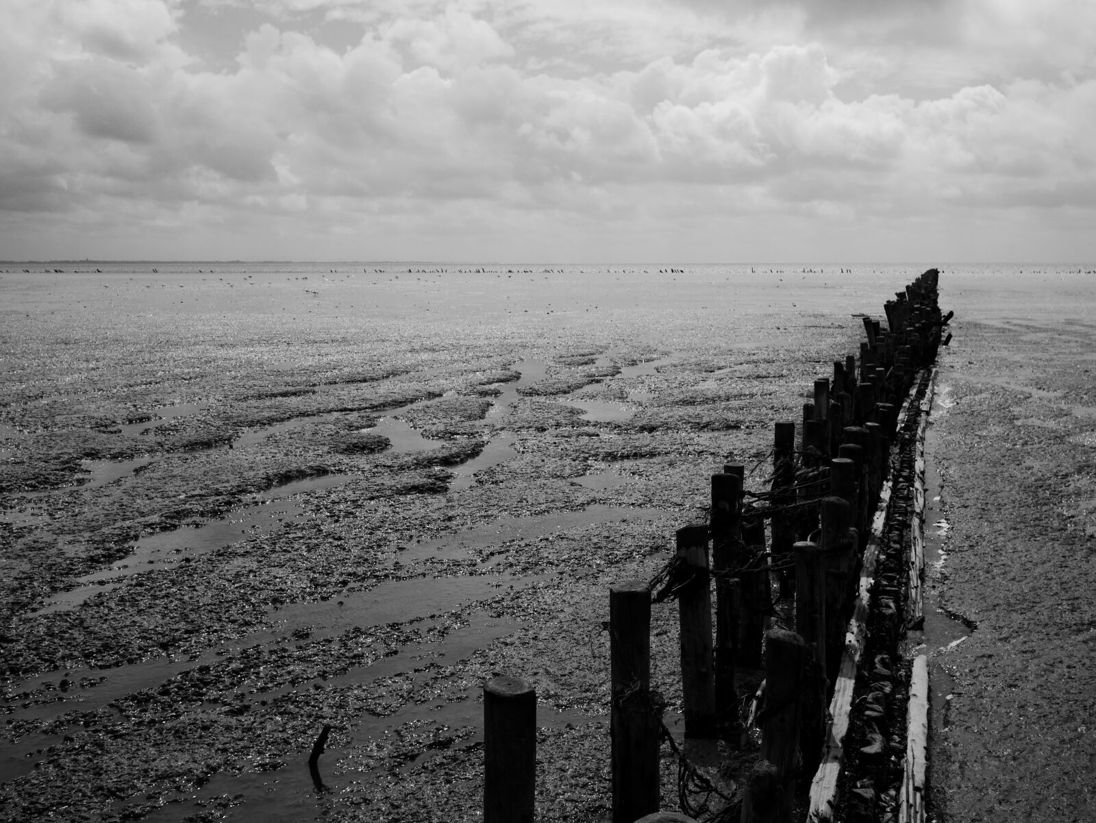 Panasonic Lumix DMC-GX7 sample photo. Water, salt, sea photography