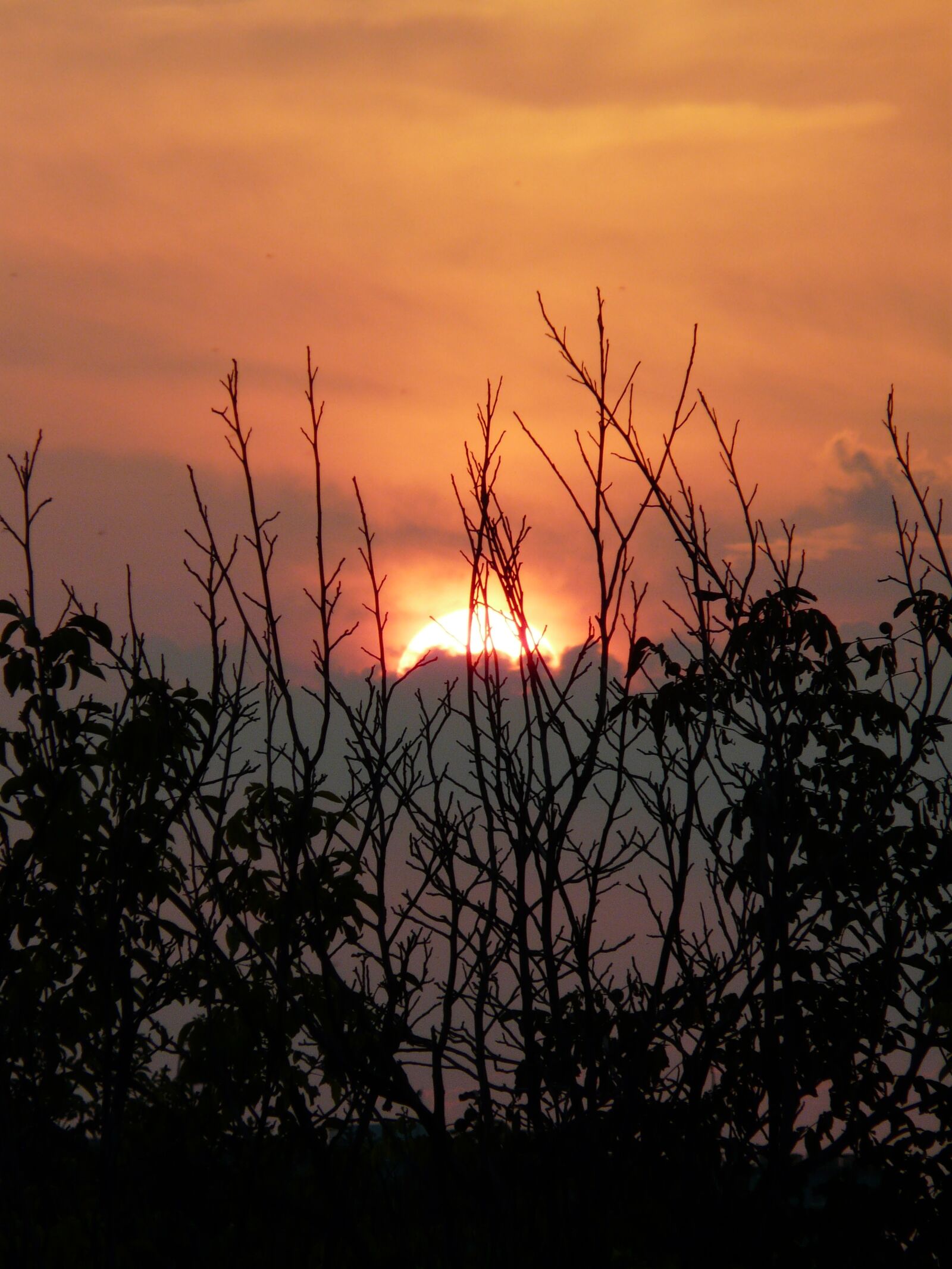 Panasonic DMC-FZ18 sample photo. Sunset, nature, mood photography