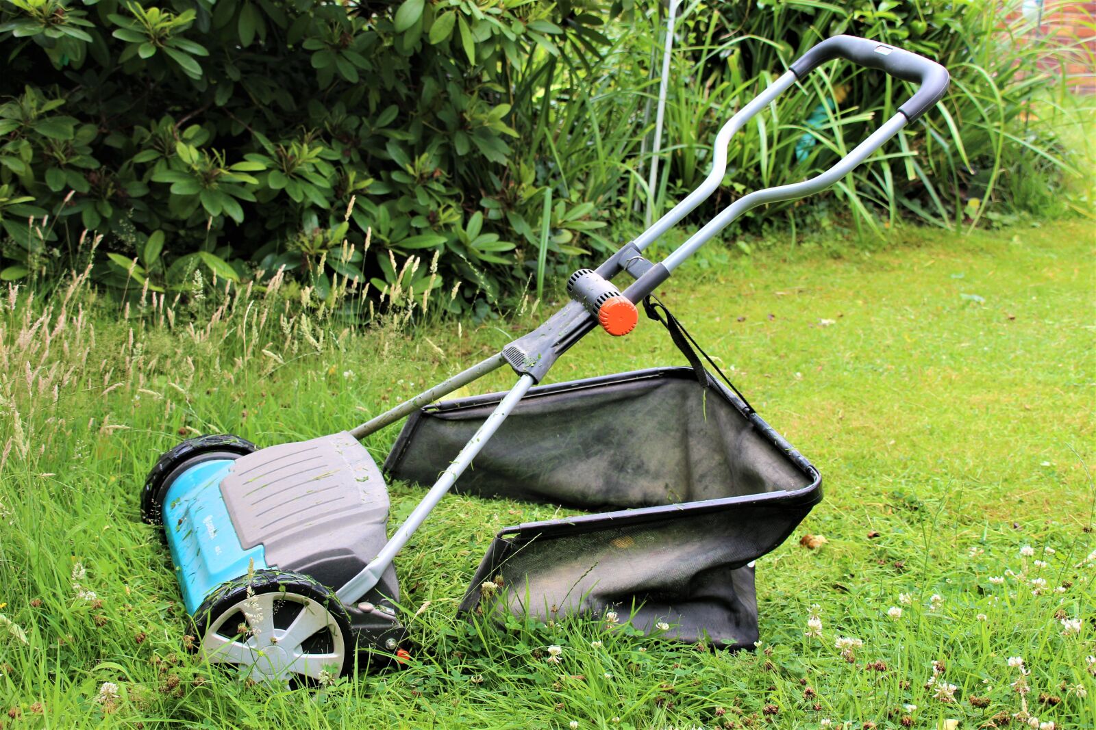 Canon EOS 700D (EOS Rebel T5i / EOS Kiss X7i) sample photo. Rush, lawn mower, gardening photography