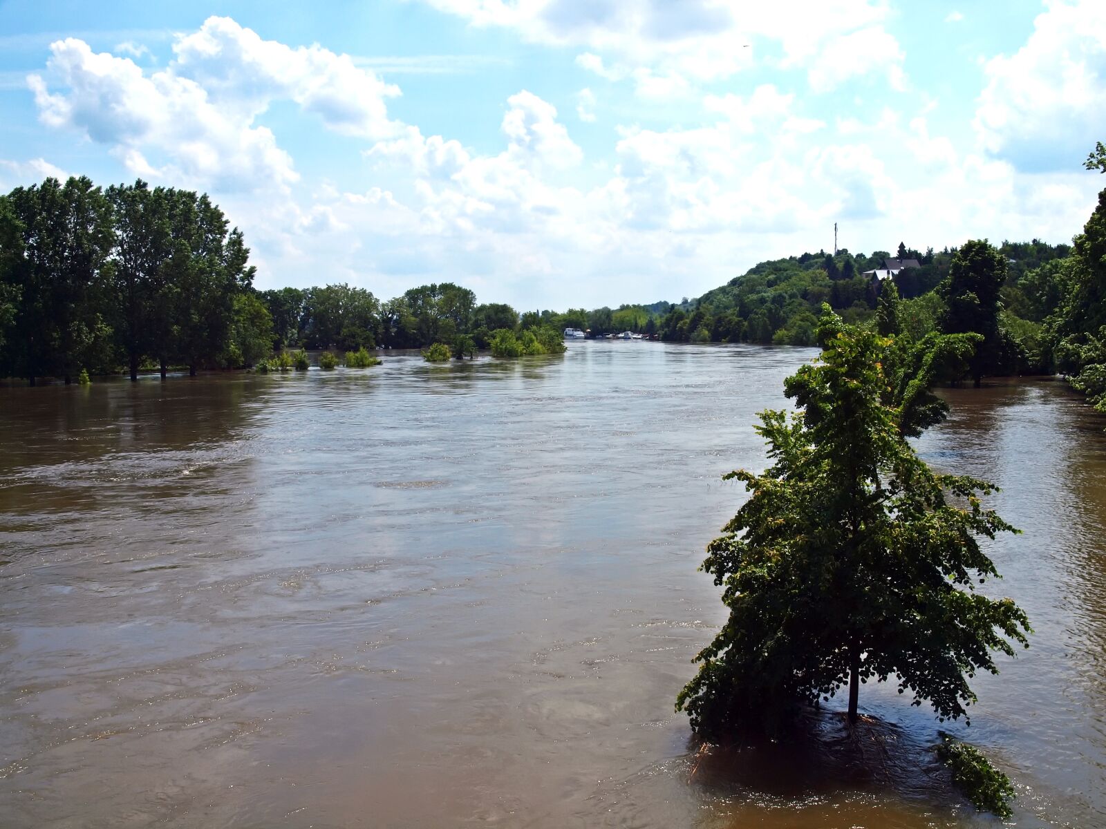 Olympus E-30 sample photo. Flood, saale, 2013 photography