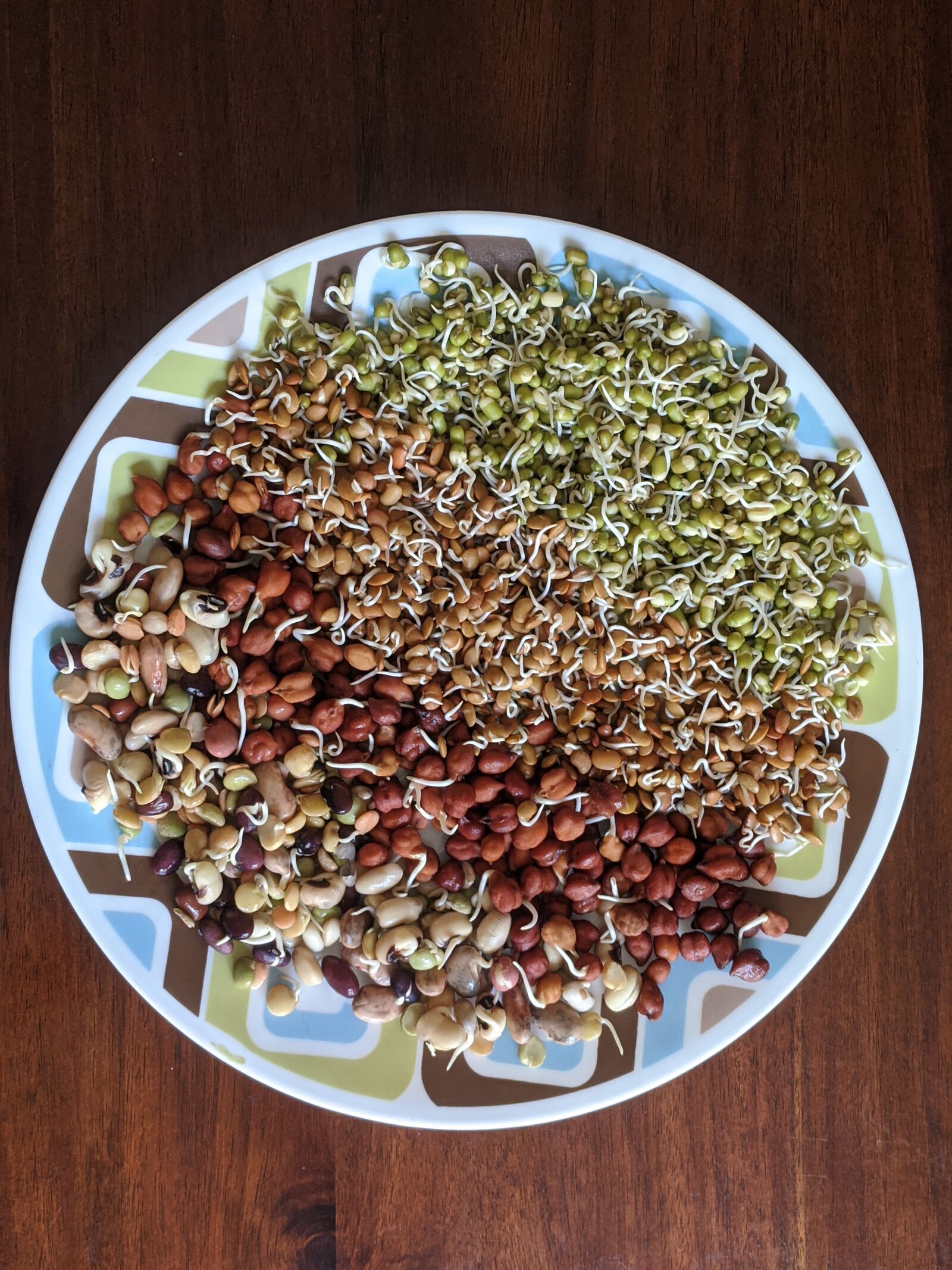 Google Pixel sample photo. Sprouts, superfood, healthy photography