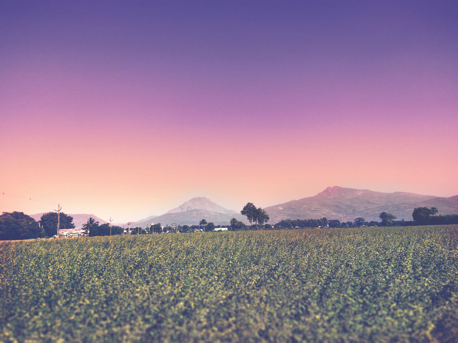 Xiaomi Redmi Note 3 sample photo. Countryside, cropland, dawn, dusk photography