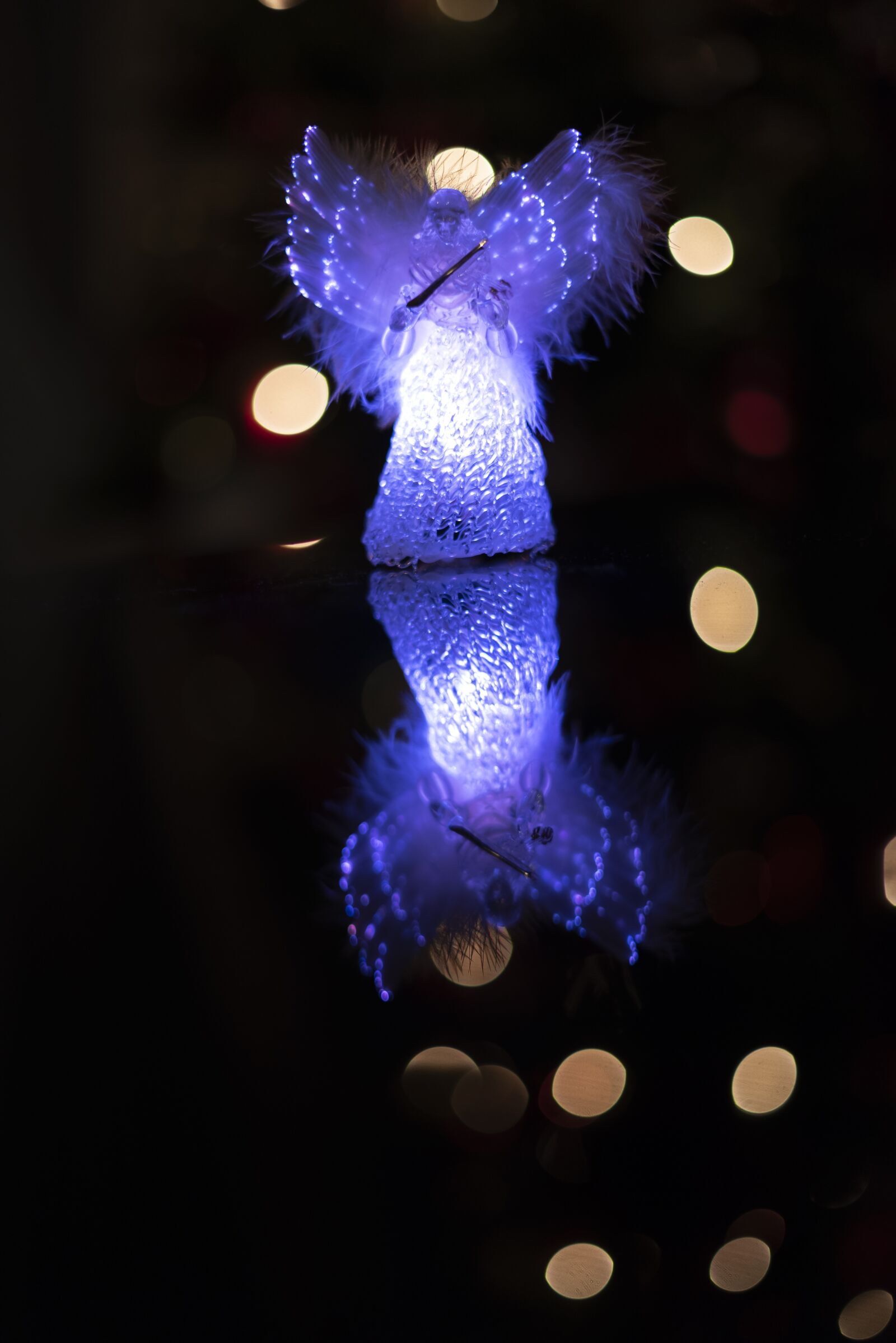 Nikon D750 sample photo. Christmas, lights, holiday photography