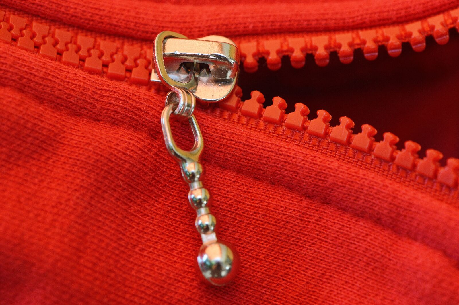 Nikon D3200 sample photo. Zip, red, coarse photography