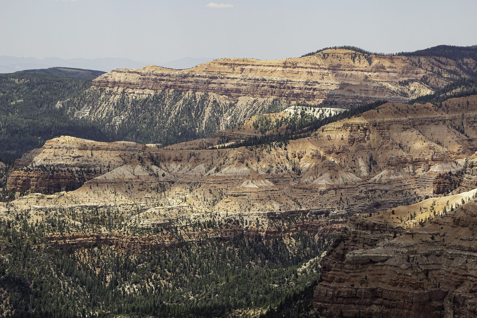 Canon EOS 100D (EOS Rebel SL1 / EOS Kiss X7) sample photo. Cedar breaks, hoodoos, utah photography