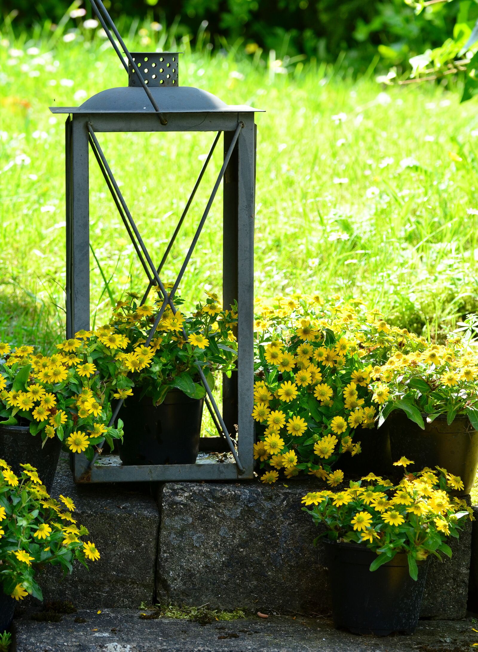 Nikon D5100 sample photo. Garden decoration, garden, hussar photography