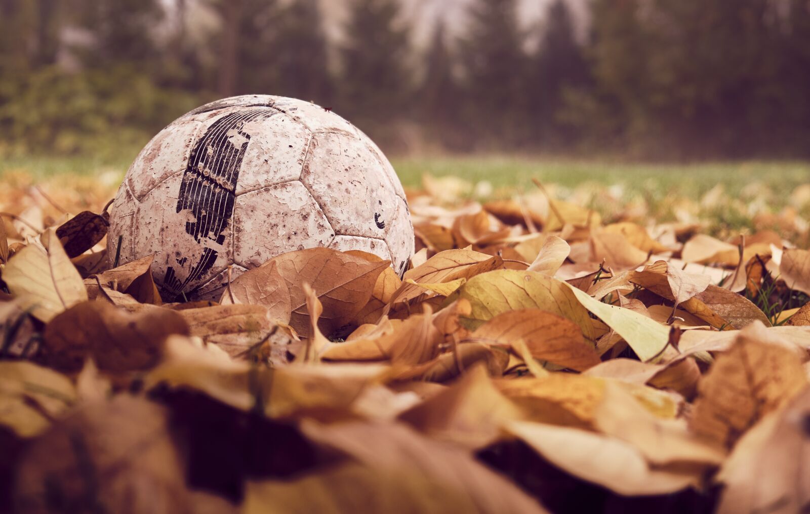 Fujifilm XF 18-55mm F2.8-4 R LM OIS sample photo. Football, autumn, leaves photography