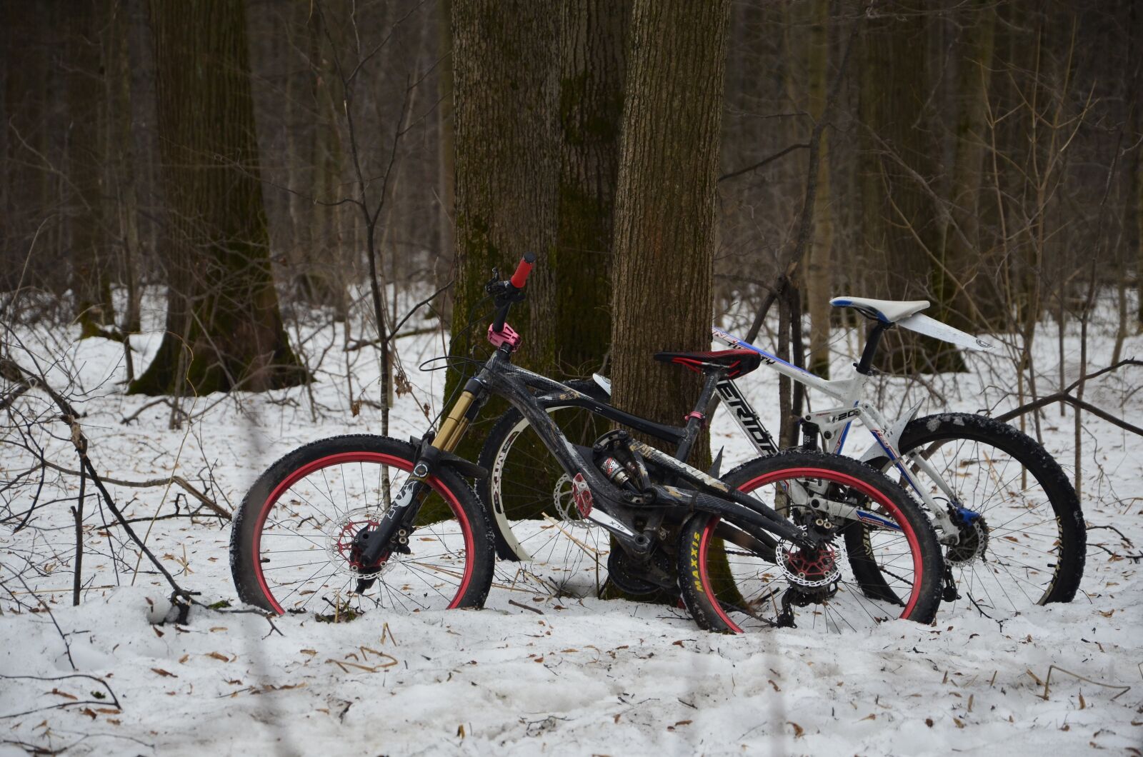 Nikon D5100 sample photo. Forest, snow, winter photography