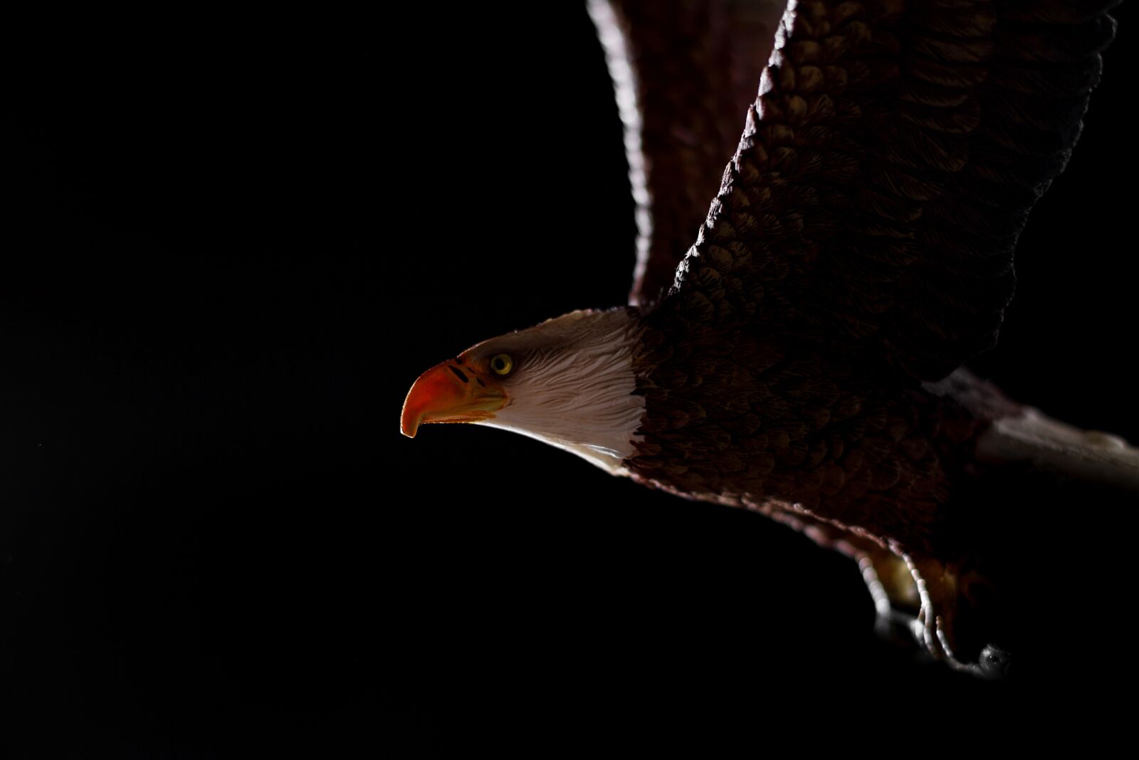 Canon EOS 7D sample photo. Adler, wood carving, animal photography
