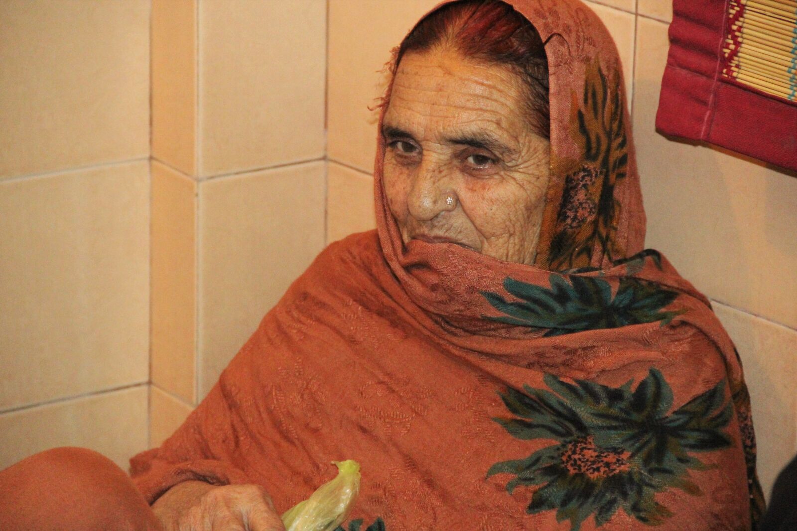 Canon EOS 550D (EOS Rebel T2i / EOS Kiss X4) sample photo. Indian, woman, old, sad photography