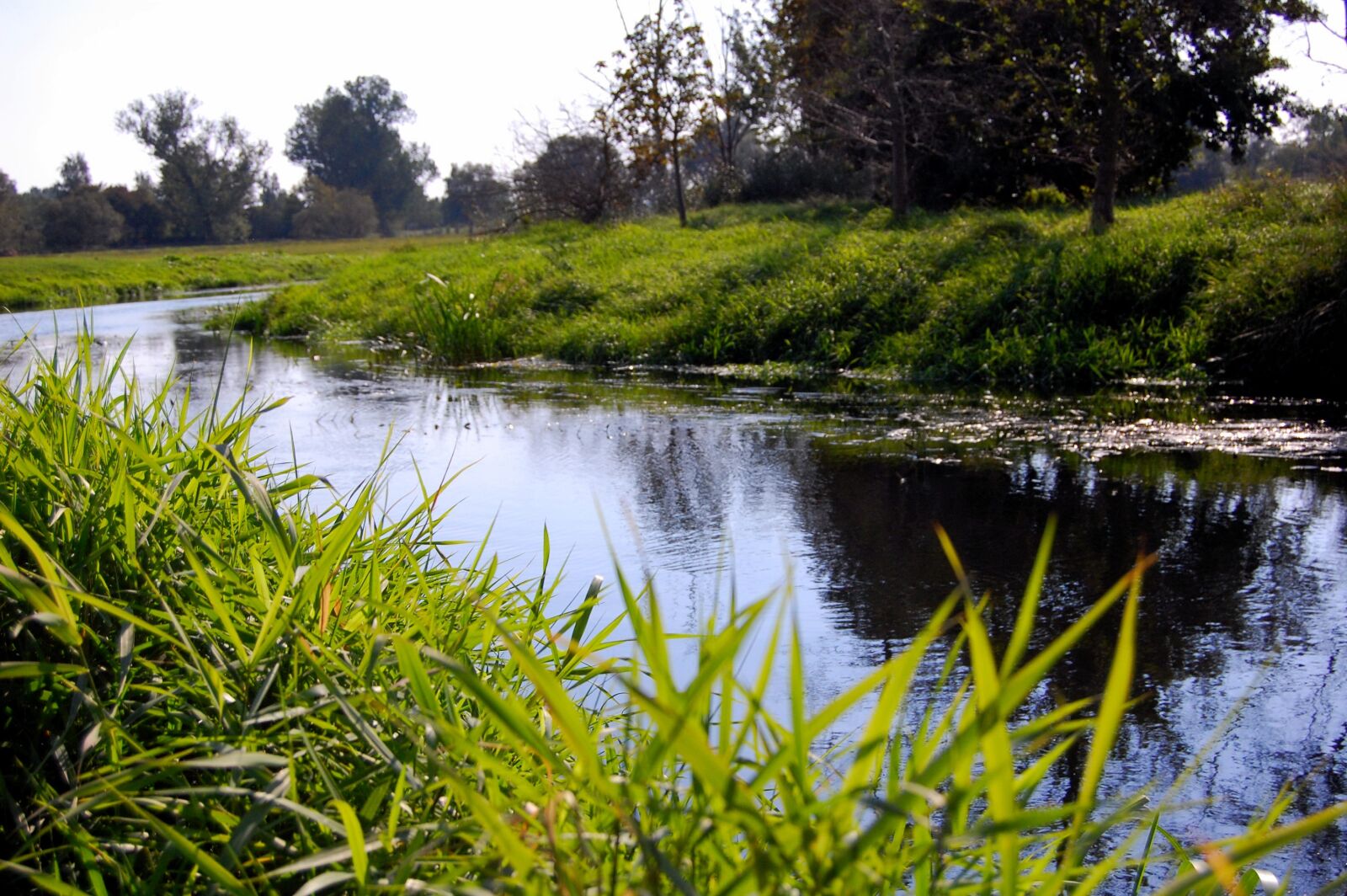 Nikon D40 sample photo. Waters, nature, river photography
