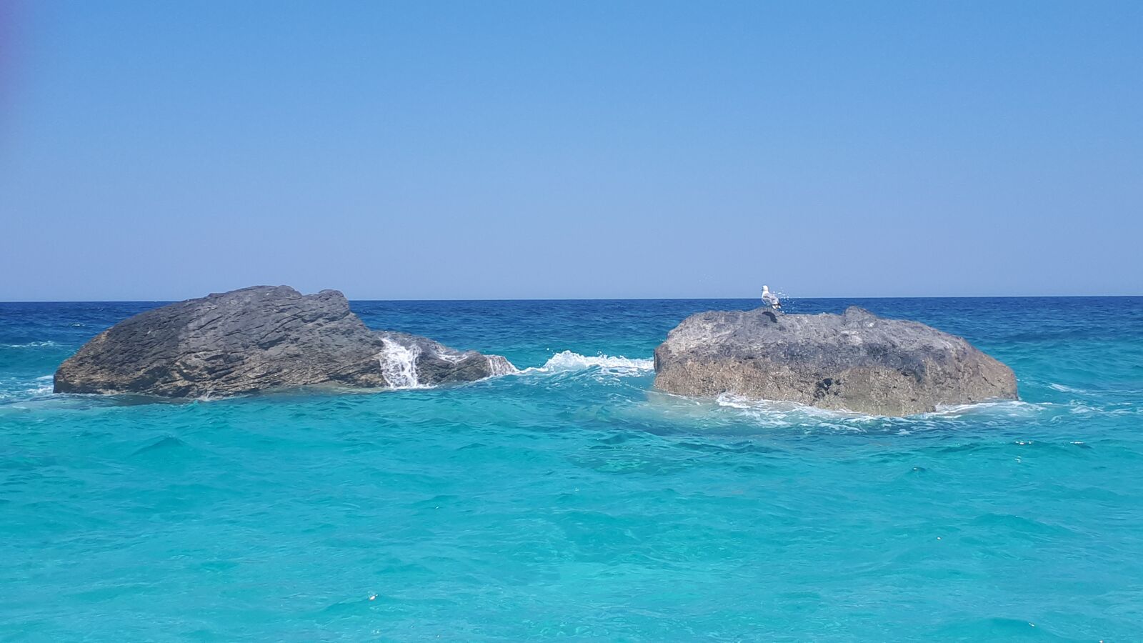 Samsung Galaxy A5(2017) sample photo. Bird, beach, skiathos photography