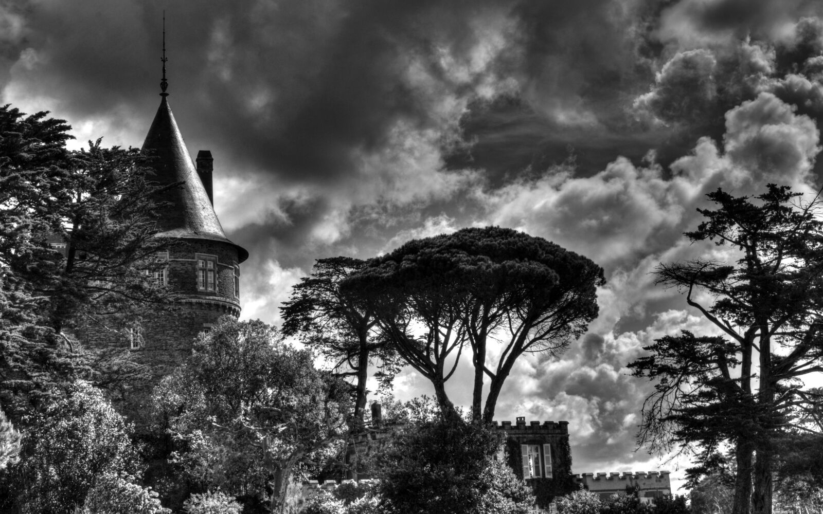 Nikon D500 sample photo. Castle, sky, tree photography
