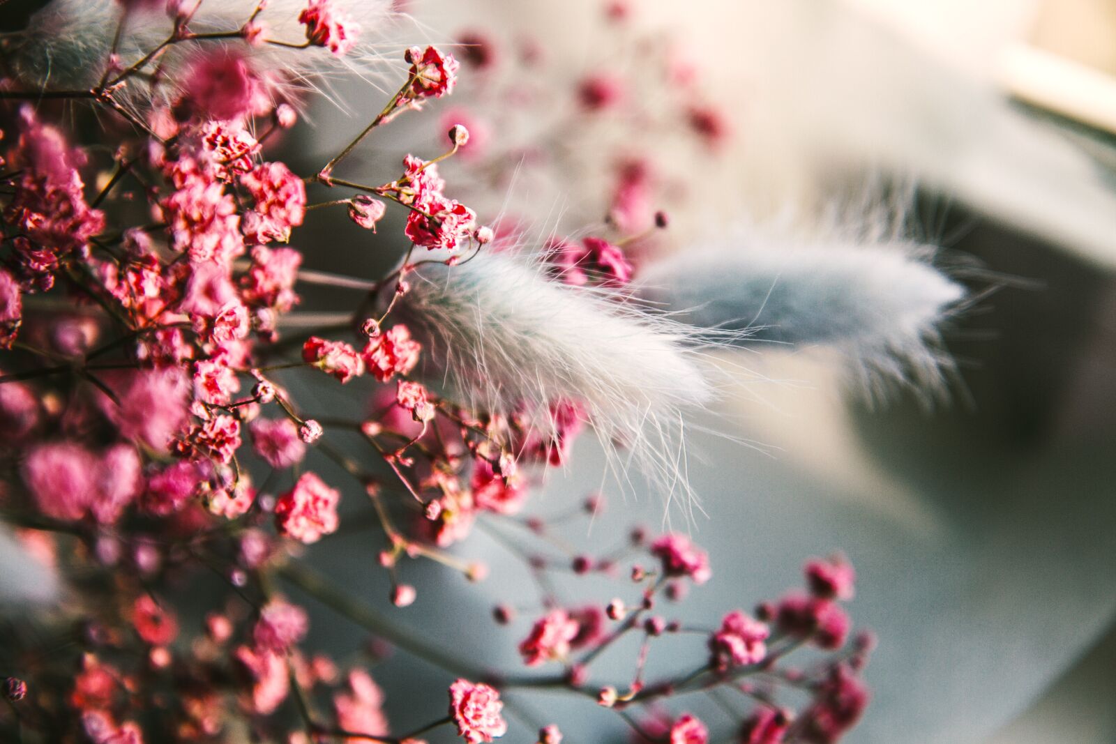 Canon EOS 7D sample photo. Flora, flowers, decorative photography